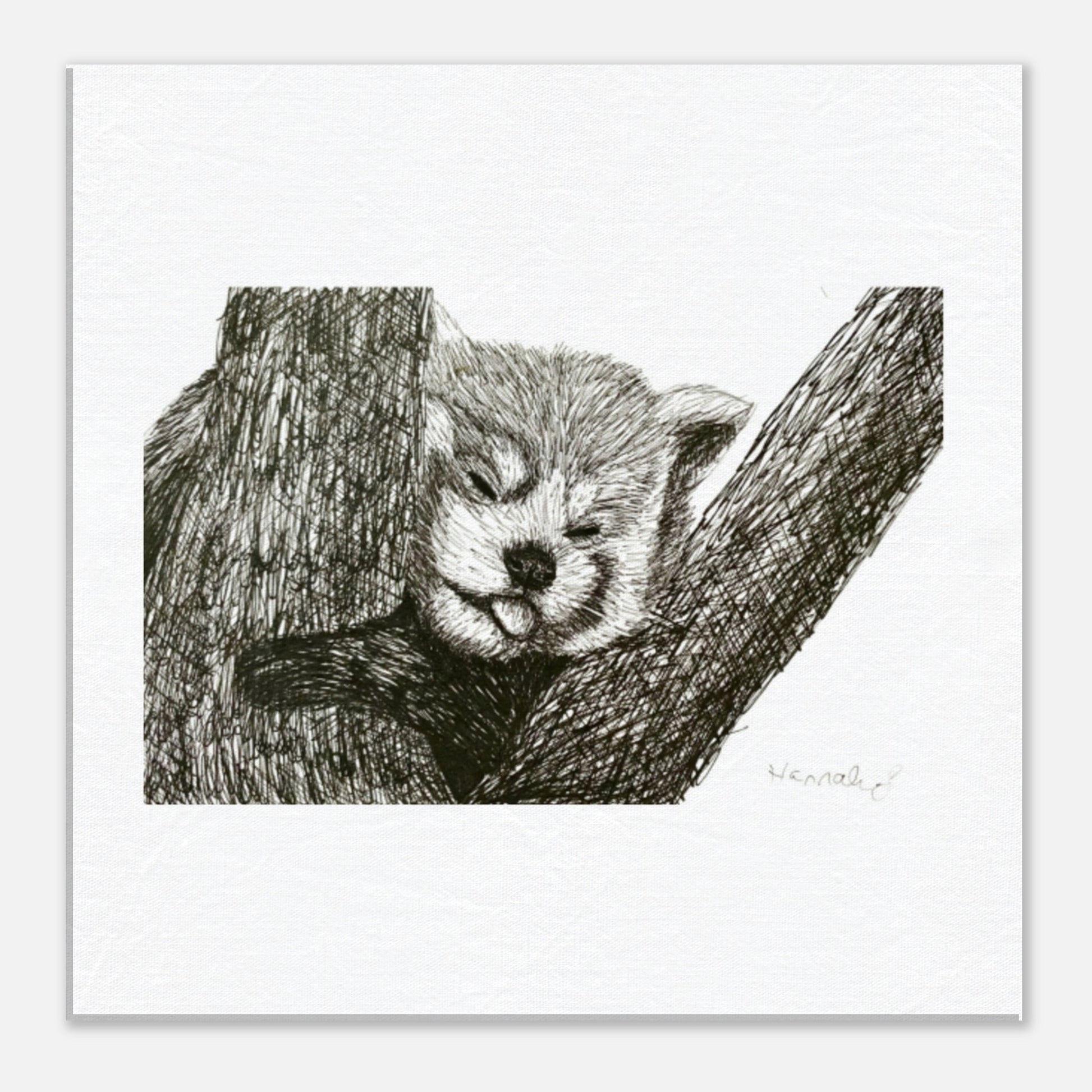 Red Panda canvas