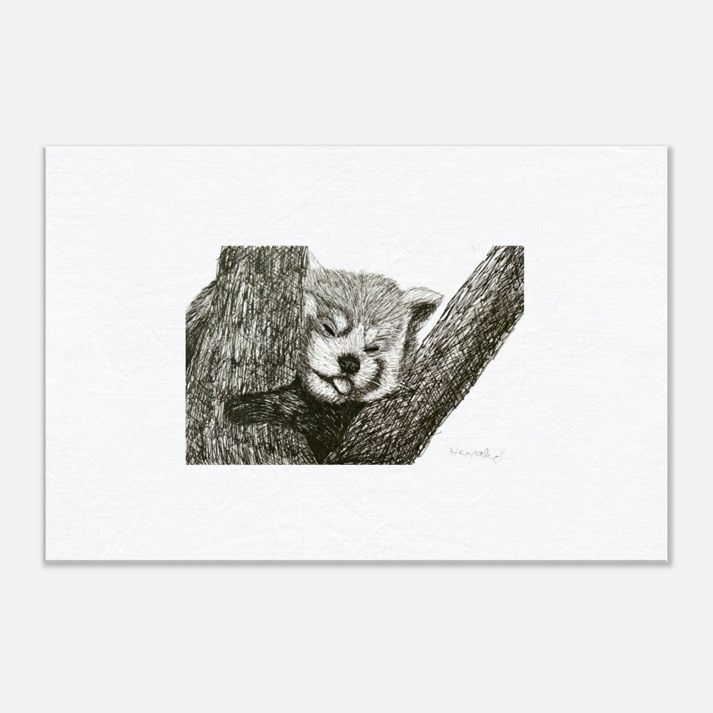 Red Panda canvas