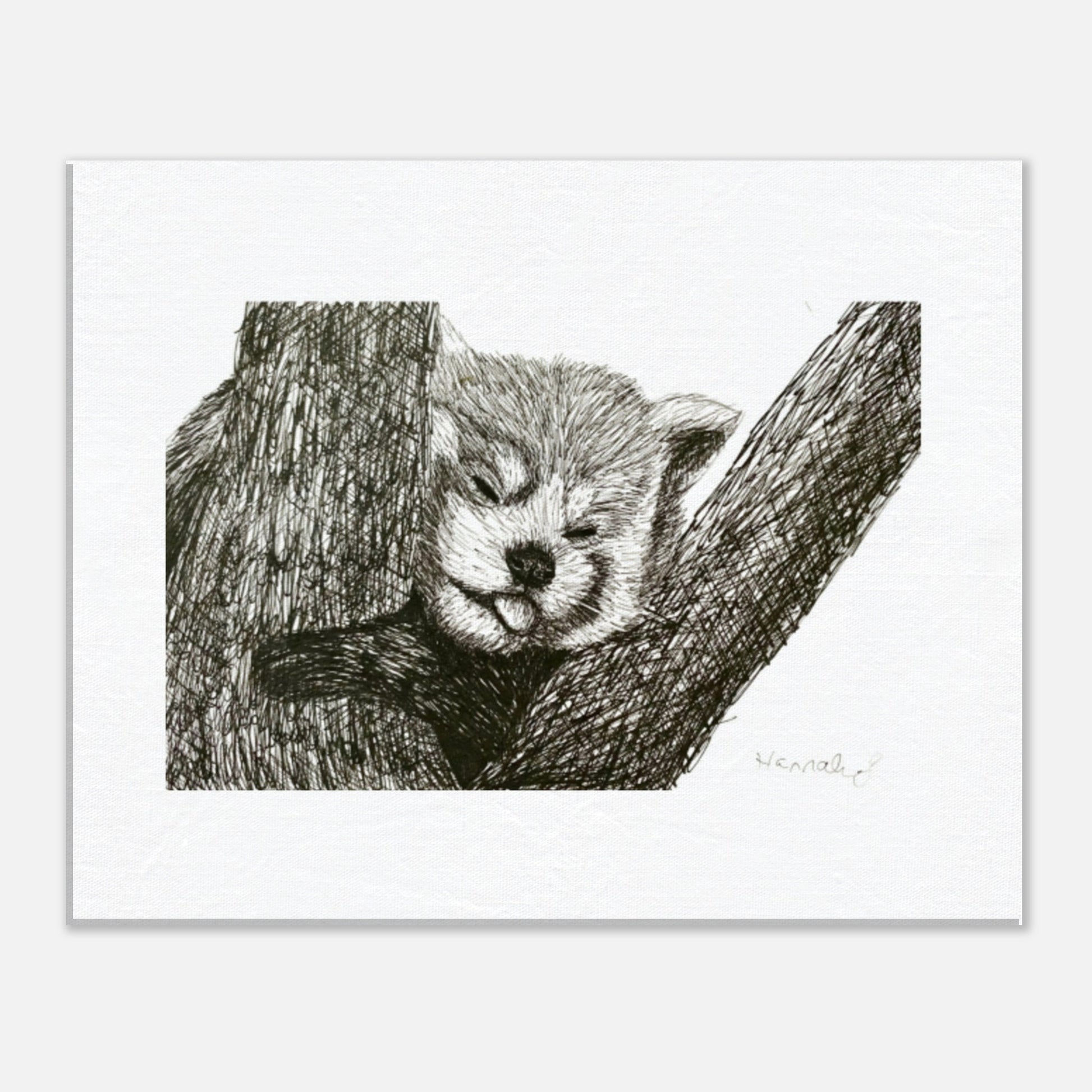 Red Panda canvas