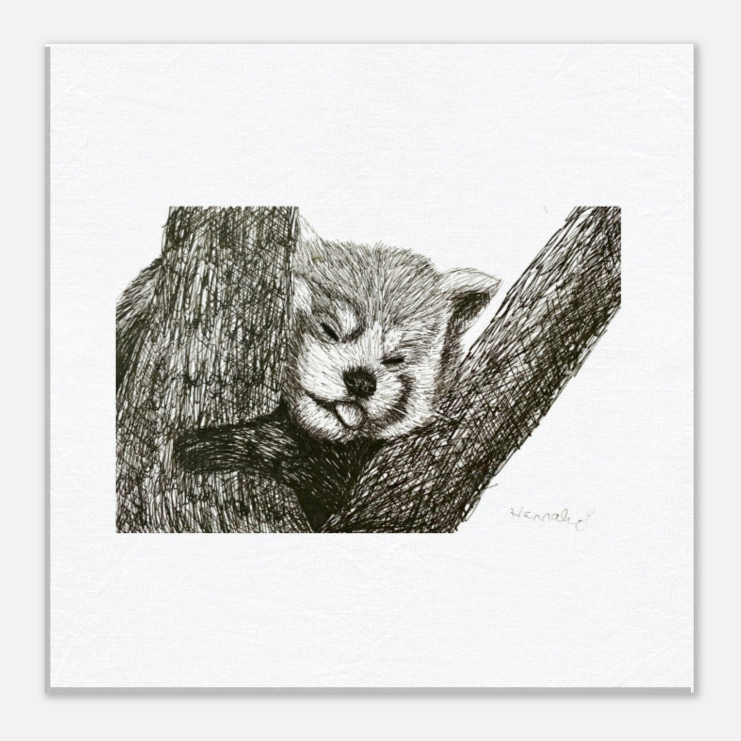 Red Panda canvas