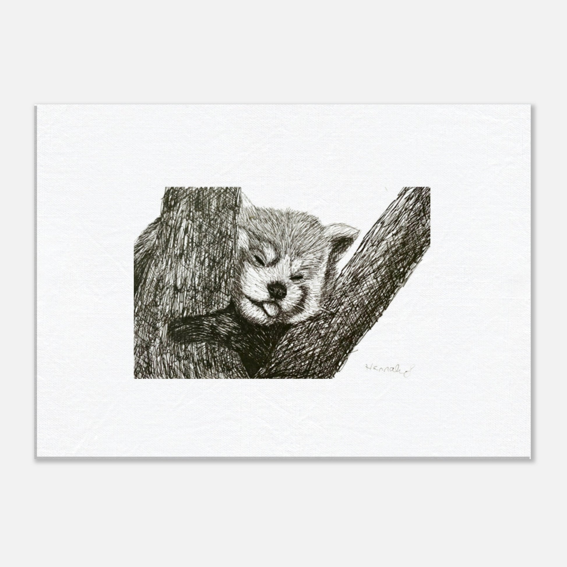 Red Panda canvas