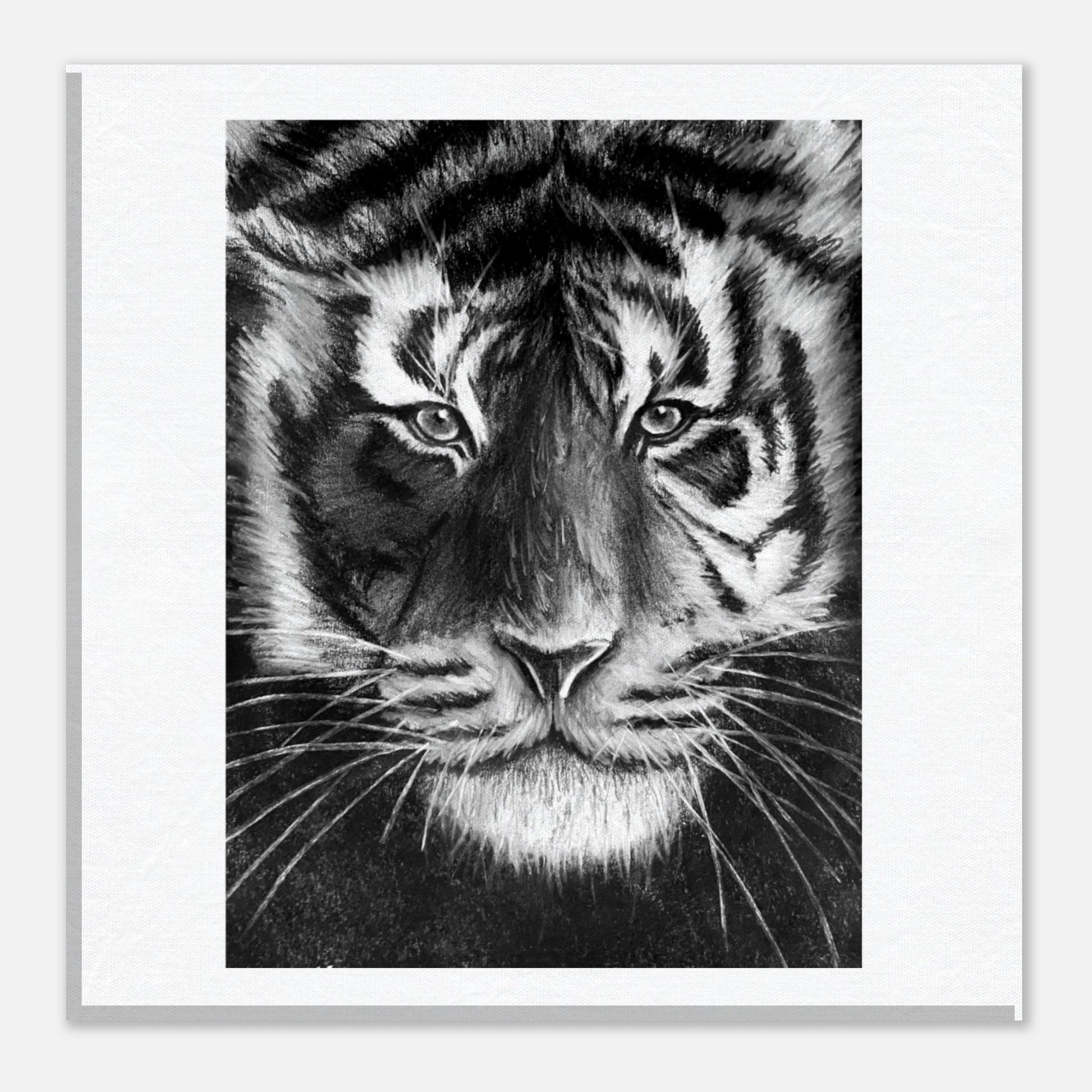 Tiger Canvas