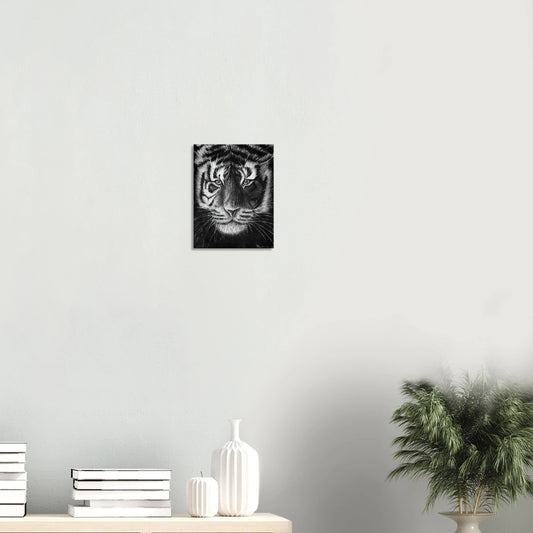 Tiger Canvas