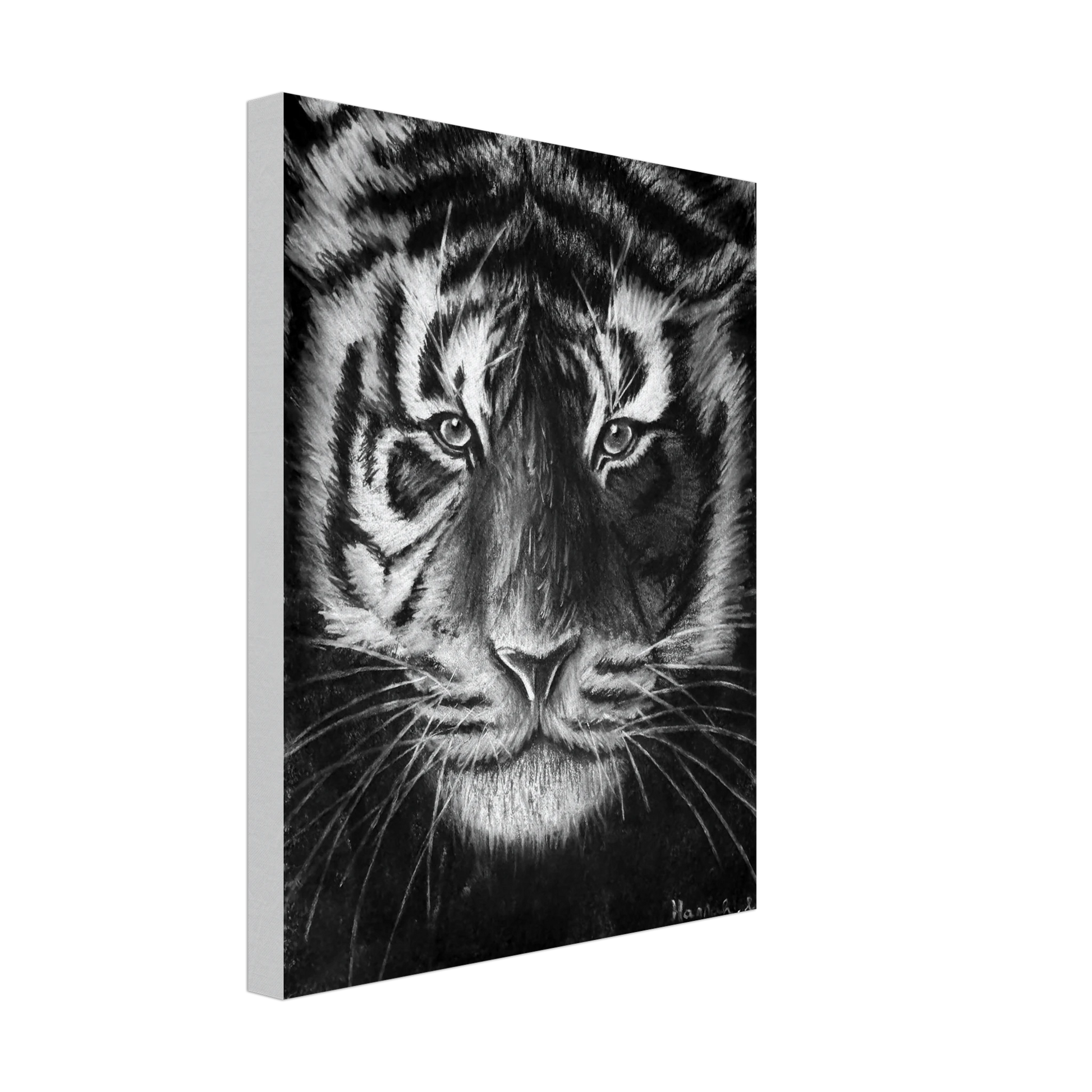 Tiger Canvas