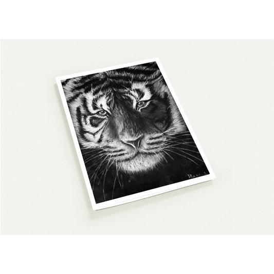 Tiger Greeting Card