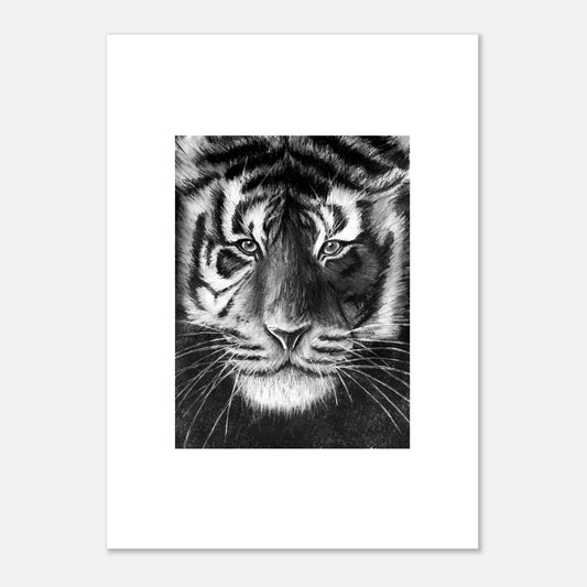 Tiger Premium Semi-Glossy Paper Poster