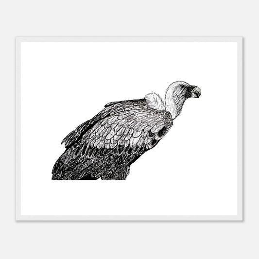 Vulture Classic Matte Paper Wooden Framed Poster
