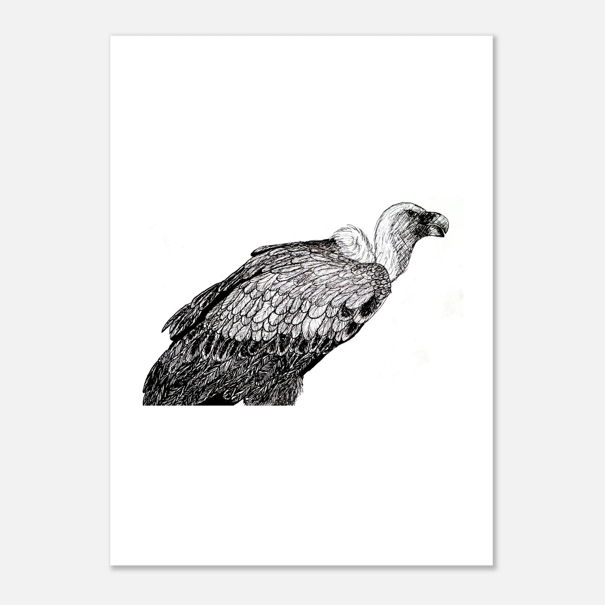 Vulture Fine Art Poster