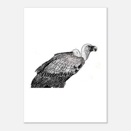 Vulture Fine Art Poster