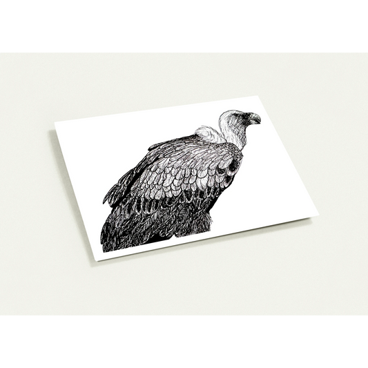 Vulture Pack of 10 Greeting Cards